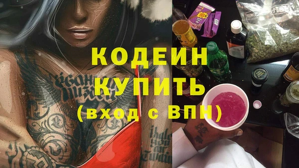 стаф Пересвет