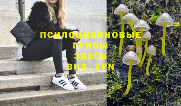 MESCALINE Покров