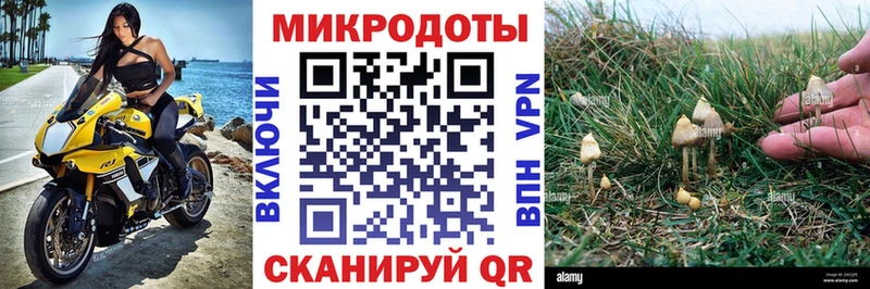 MEGA онион Сосенский Псилоцибиновые грибы Cubensis закладка
